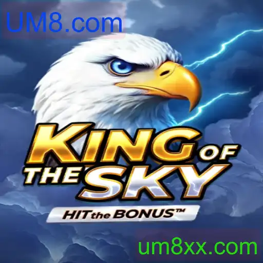 KingOfTheSky